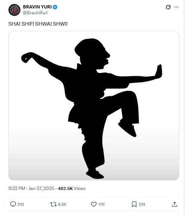 Bravin yuri bravinyuri sha! shif! shwa! shwi! 9.32 pm jan 27, 482.5k views 510 t