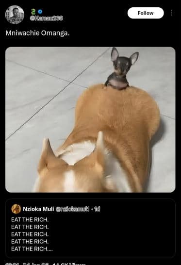 Follow ku3a6 mniwachie omanga. nzioka mull nfcbargh 14 eat the rich eat the rich