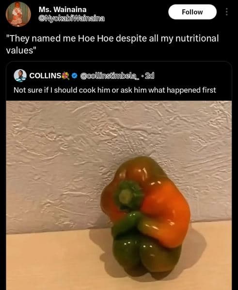 Ms. wainaina nyjokabiwlainaina follow they named me hoe hoe despite all my nutri