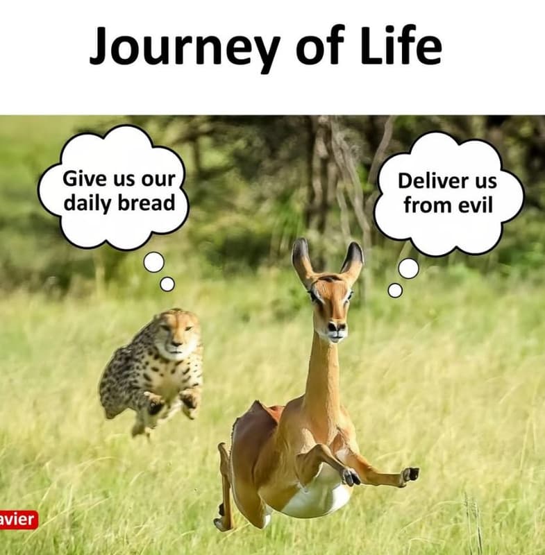 Journey of life give us our daily bread deliver us from evil vier