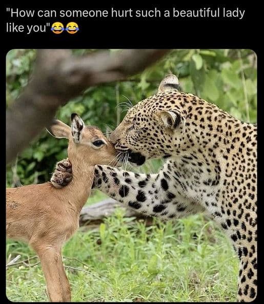 How can someone hurt such beautiful lady like you'