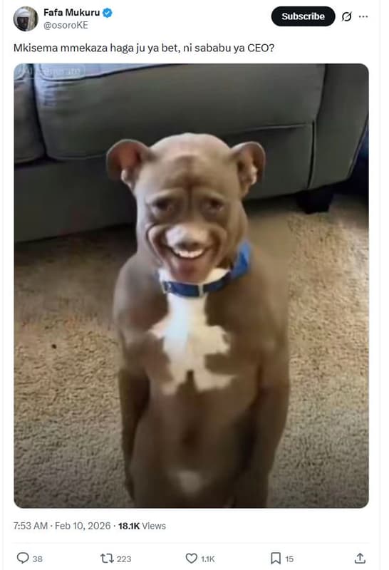 Fafa mukuru osoroke subscribe mkisema mmekaza haga ju ya bet, ni sababu ya ceo?