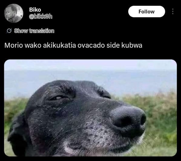 Biko bfkkoh follow show uanslaton morio wako akikukatia ovacado side kubwa