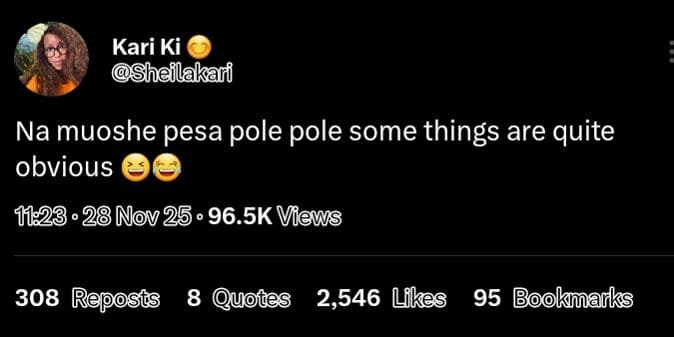 Kari ki sheilakari na muoshe pesa pole pole some things are quite obvious .28 no