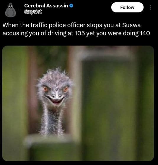 Cerebral assassin ysist follow when the traffic police officer stops you at susw