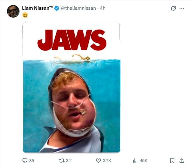 Liam nissantm theliamnissan 4h jaws tl 341 3.7k ılı 45k