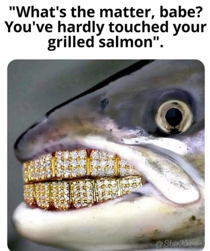 What's the matter, babe? you've hardly touched your grilled salmon stein kamor