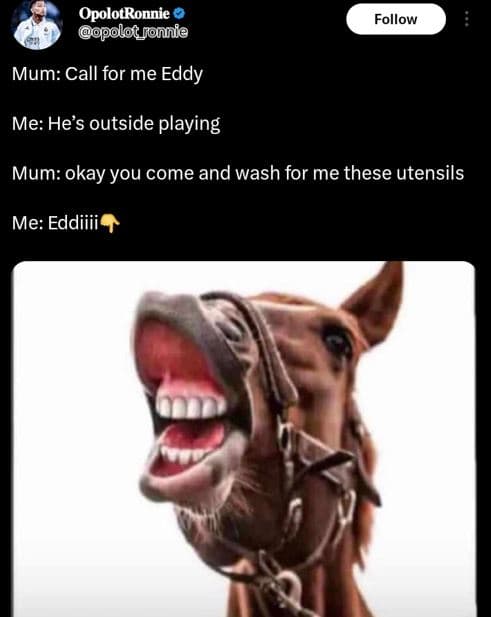 Opolotronnie opolot_ronnie follow mum call for me eddy me he's outside playing m