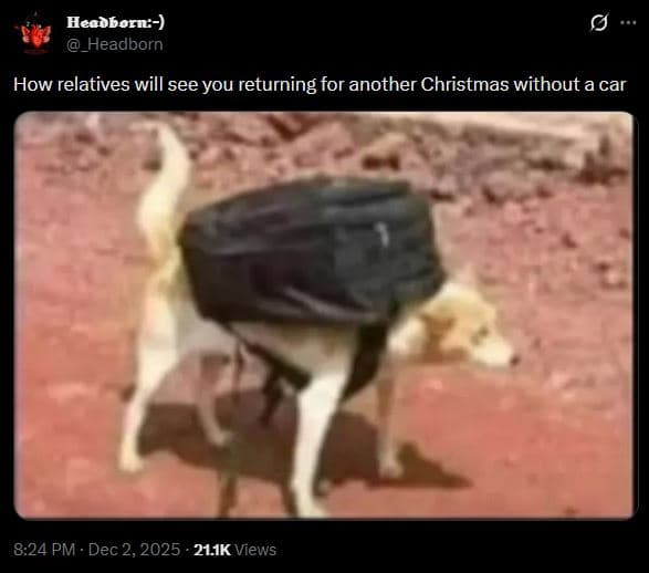 Heaoborn _headborn how relatives will see you returning for another christmas wi