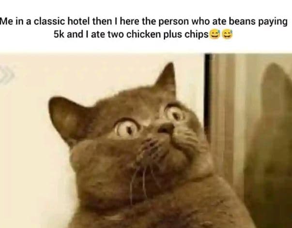 Me in a classic hotel then here the person who ate beans paying 5k and ate two c