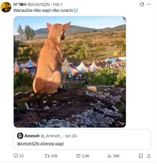 Aftohh antohszn feb 1 wanauliza niko wapi niko ruracio ammoh _ammoh _ jan 24 ant