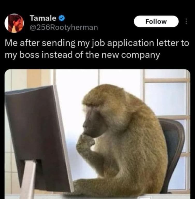 Tamale 256rootyherman follow me after sending my job application letter to my bo