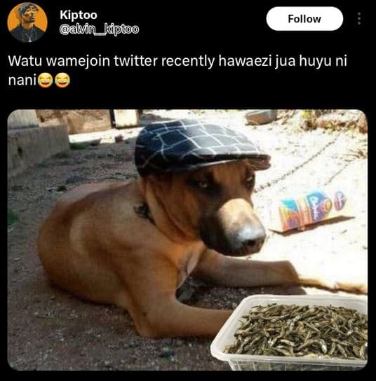 Kiptoo mn_kipioo follow watu wamejoin twitter recently hawaezi jua huyu ni nanil