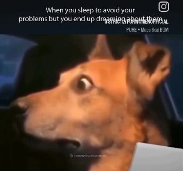 When you sleep to avoid your problems but you end up draafnineahauitethercıal pu