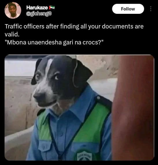 Harukaze jchengo follow traffic officers after finding all your documents are va
