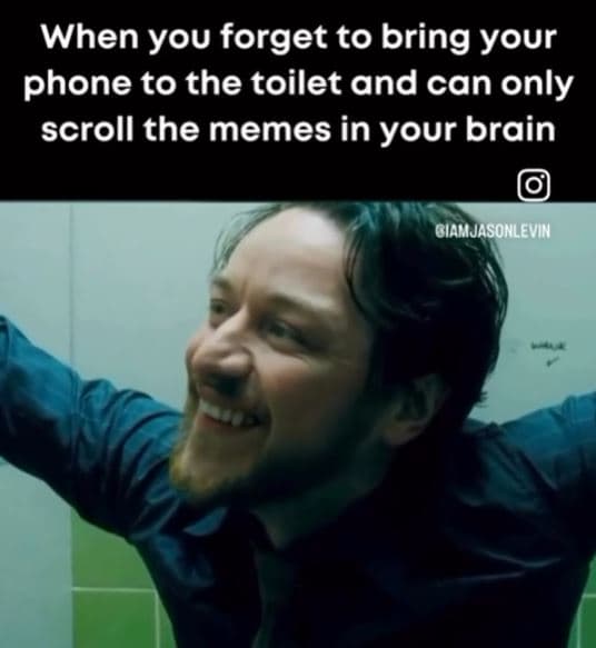 When you forget to bring your phone to the toilet and can only scroll the memes