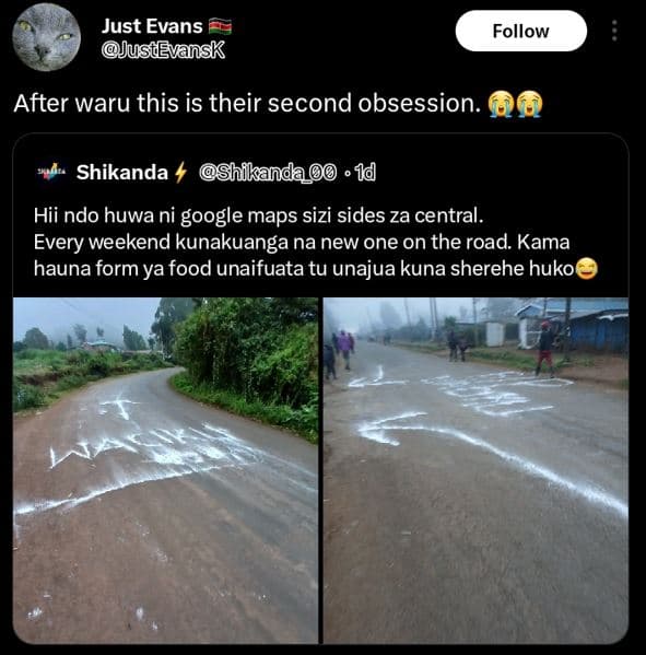 Just evans ustevansk follow after waru this is their second obsession. shikanda