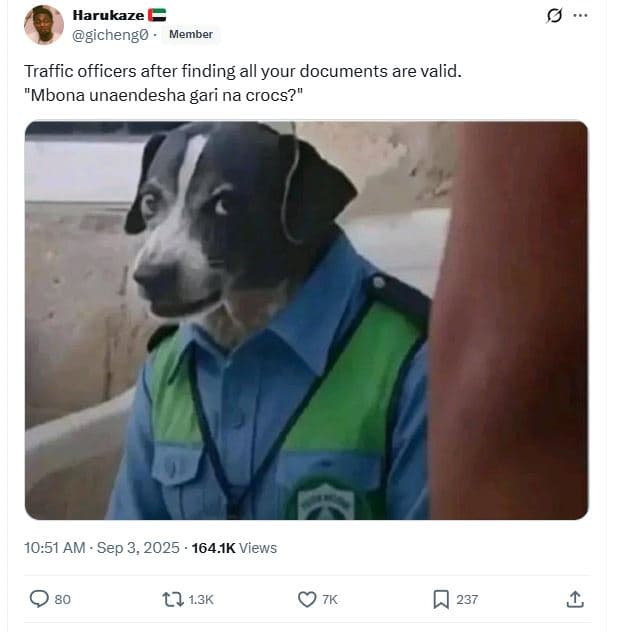 Harukaze gichengo memner traffic officers after finding all your documents are v