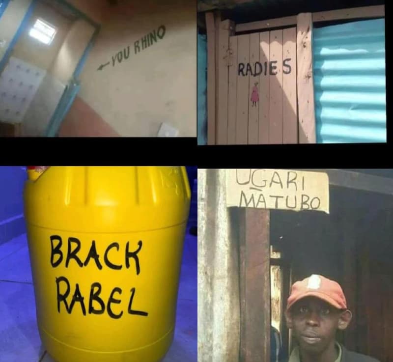 Radie s ucari maturo bracr rabel rhino yqu