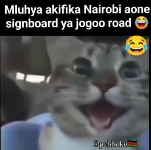 Mluhya akifika nairobi aone signboard ya jogoo road pahlo ke