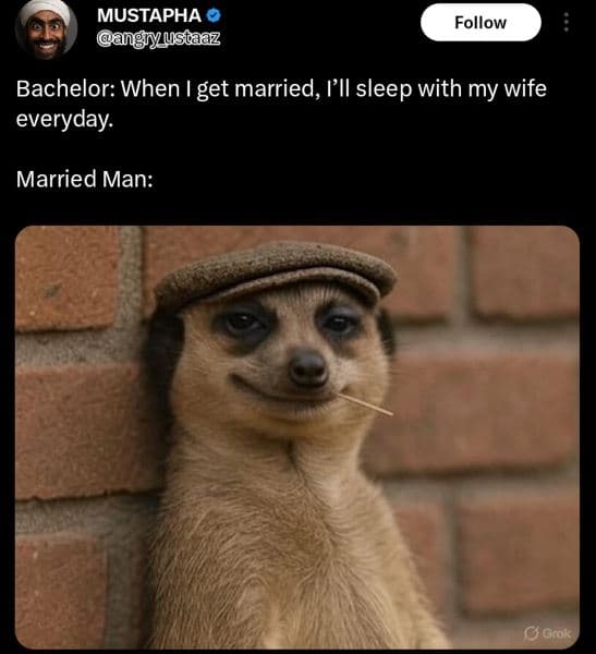 Mustapha ngfustaaz follow bachelor when i get married, l'll sleep with my wife e