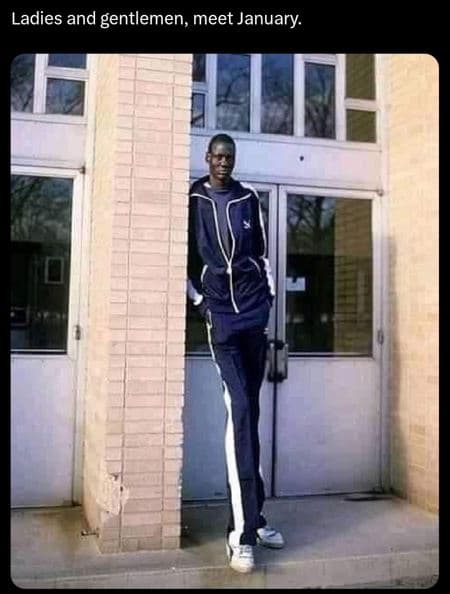 Ladies and gentlemen, meet january.