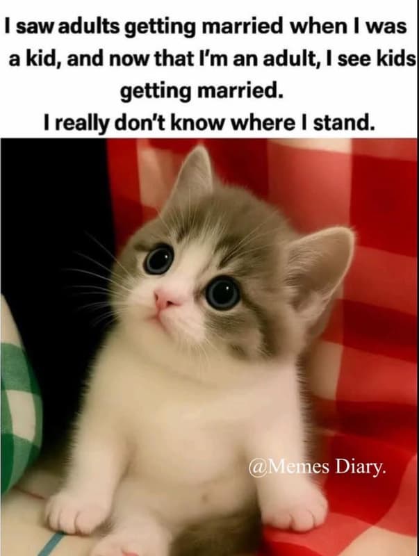 Saw adults getting married when was a kid, and now that l'm an adult i see kidsl