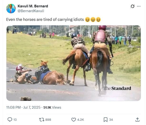 Kavuli m. bernard bernardkavuli even the horses are tired of carrying idiots the