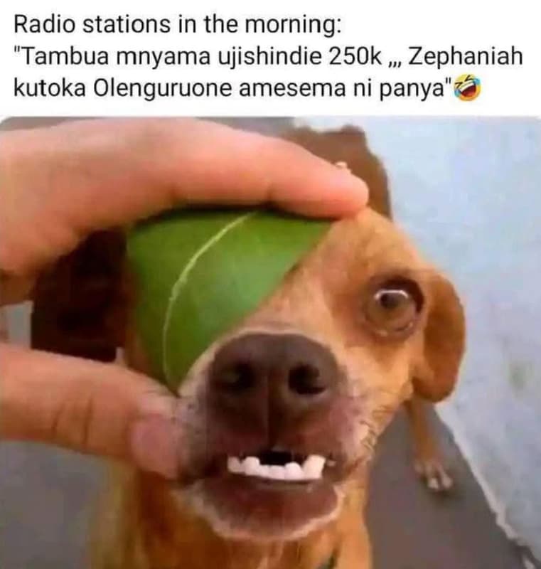 Radio stations in the morning tambua mnyama ujishindie 250k 111 zephaniah kutoka