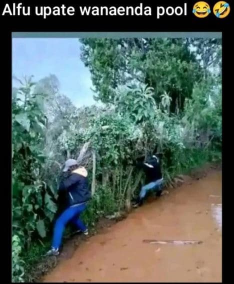 Alfu upate wanaenda pool