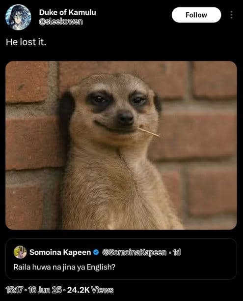 Duke of kamulu sleekowen follow he lost it. somoina kapeen somoinakapeen 1d rail