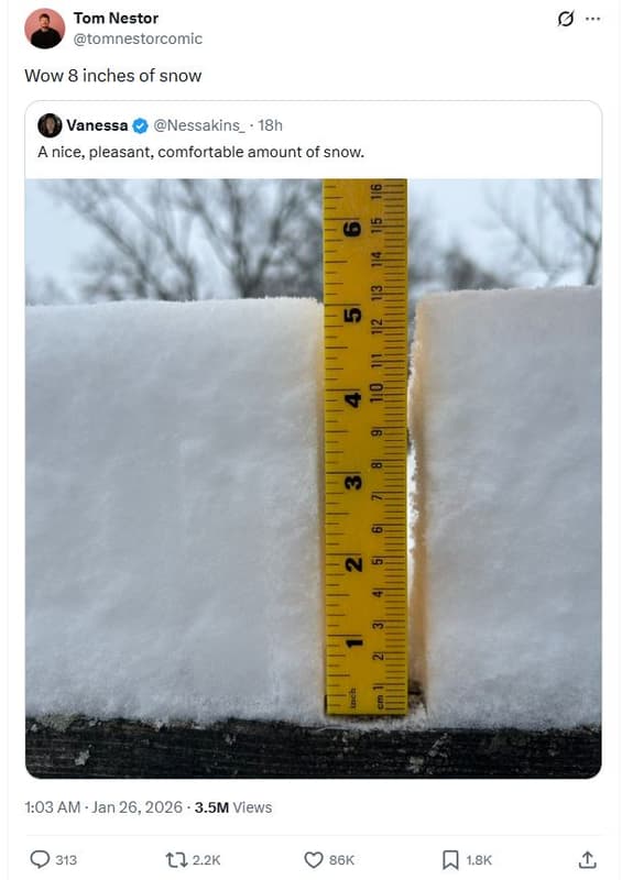 Tom nestor tomnestorcomic wow 8 inches of snow vanessa nessakins 18h a nice plea