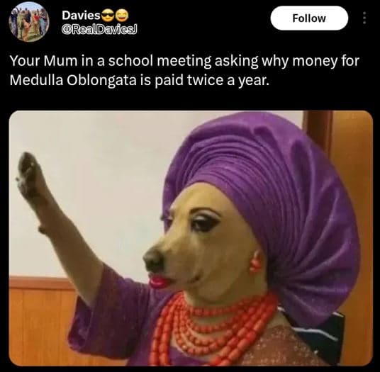 Davies realdavies follow your mum in a school meeting asking why money for medul