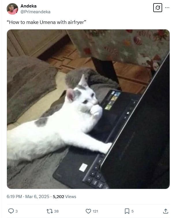 Andeka primeandeka how to make umena with airfryer 6.19 pm mar 6, 5,202 views t2