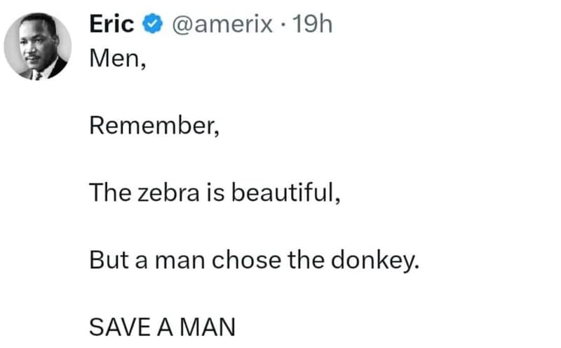 Eric amerix 19h men remember the zebra is beautiful, but a man chose the donkey.