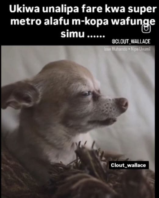 Ukiwa unalipa fare kwa super metro alafu mkopa wafunge simu gclout_wallace wuhen