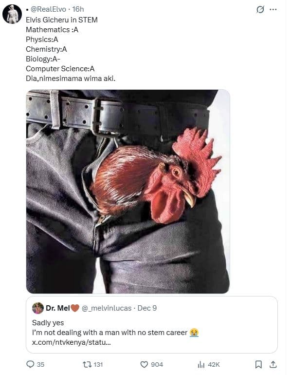 Realelvo 16h elvis gicheru in stem mathematics a physicsa chemistrya biologya co