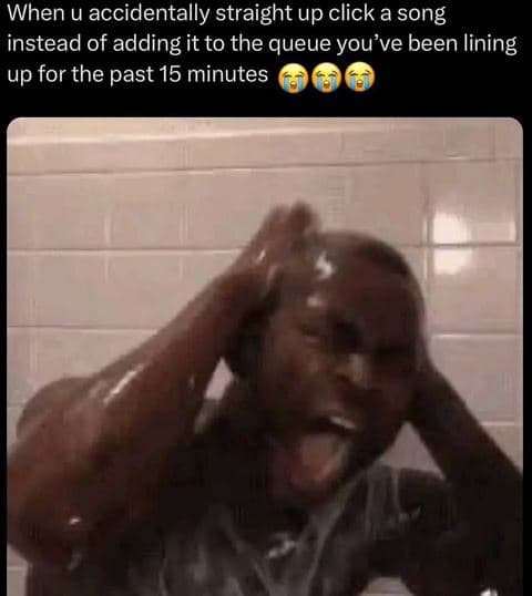 When u accidentally straight up click a song instead of adding it to the queue y