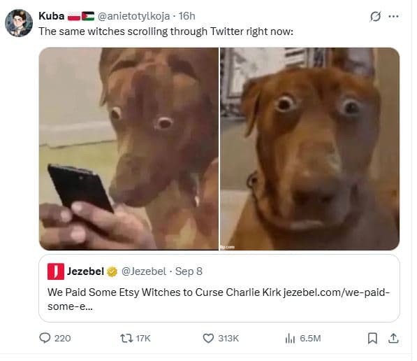 Kuba anietotylkoja 16h the same witches scrolling through twitter right now jeze