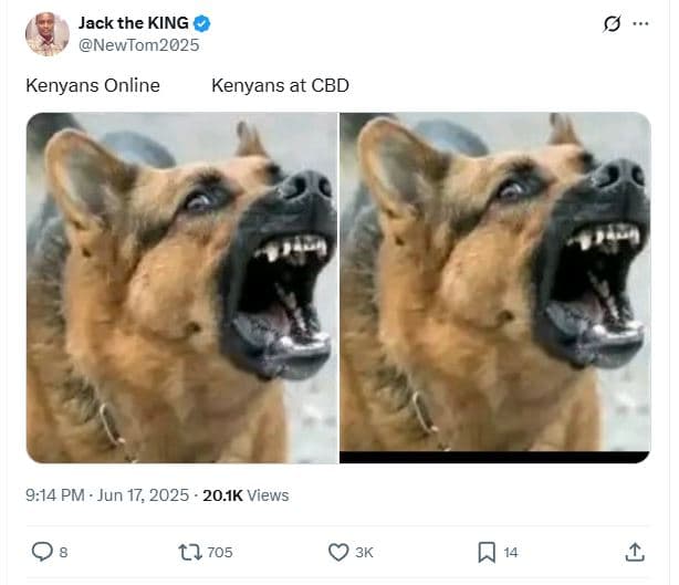 Jack the king newtom2025 kenyans online kenyans at cbd 9.14 pm jun 17, 20.ik vie