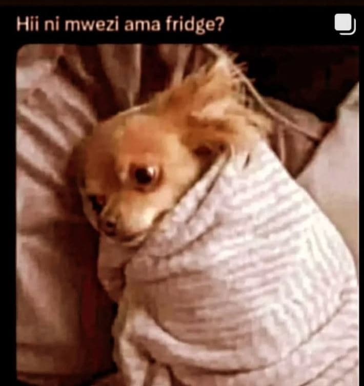 Hii ni mwezi ama fridge?