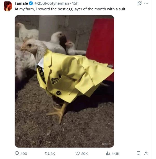 Tamale 256rootyherman 15h at my farm reward the best egg layer of the month with