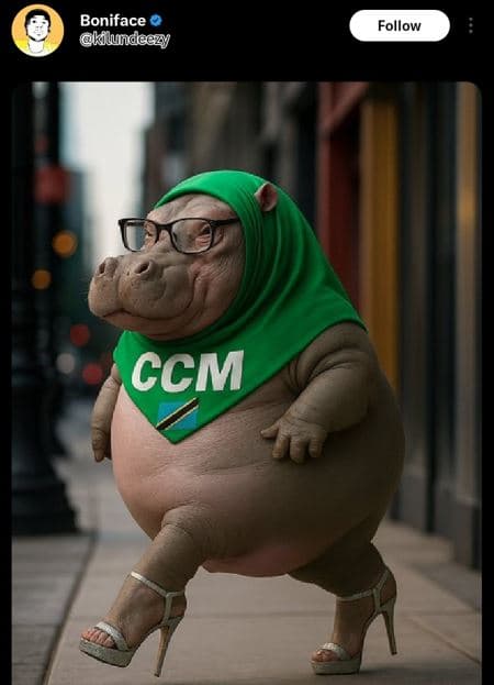 Boniface kilundeazy follow ccm