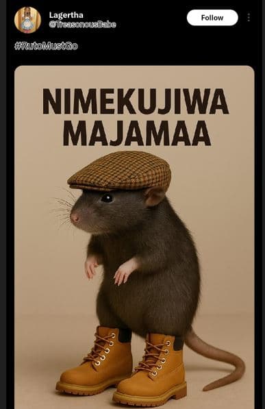 Lagertha oleasongsbale follov rutol usig nimekujiwa majamaa