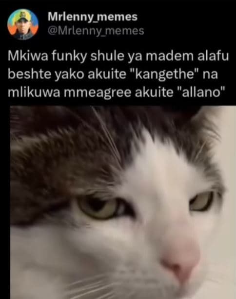 Mrlenny_memes mrlenny_memes mkiwa funky shule ya madem alafu beshte yako akuite