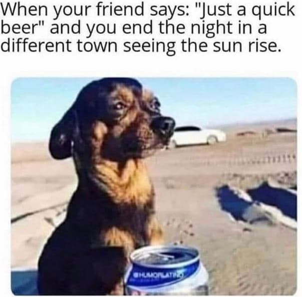 When your friend sake ngst i9 just a quick beer and you end different town seein