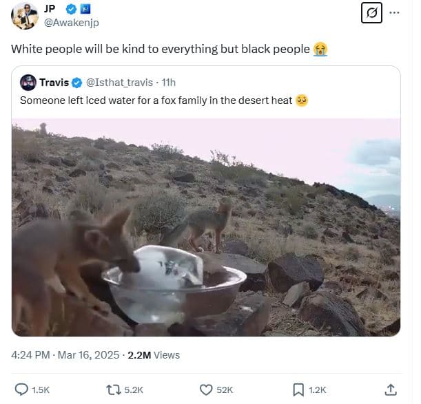 Awakenjp white people will be kind to everything but black people travis isthat_