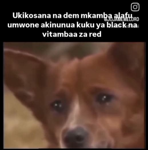 Ukikosana na dem mkambaałafybro umwone akinunua kuku ya blackinai vitambaa za re