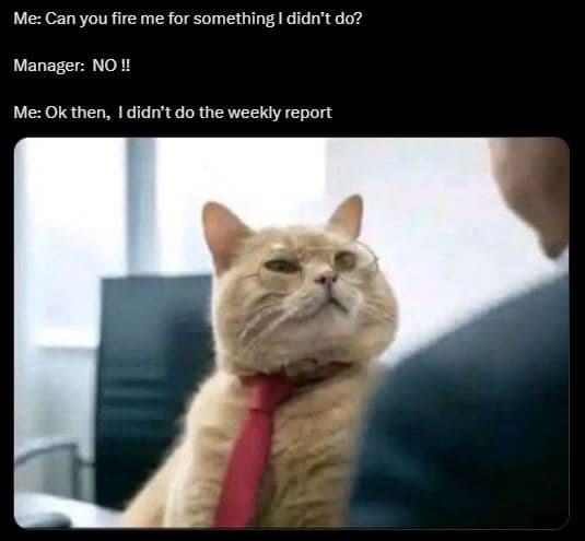 Me can you fire me for something didn't do? manager no! me ok then, didn't do th