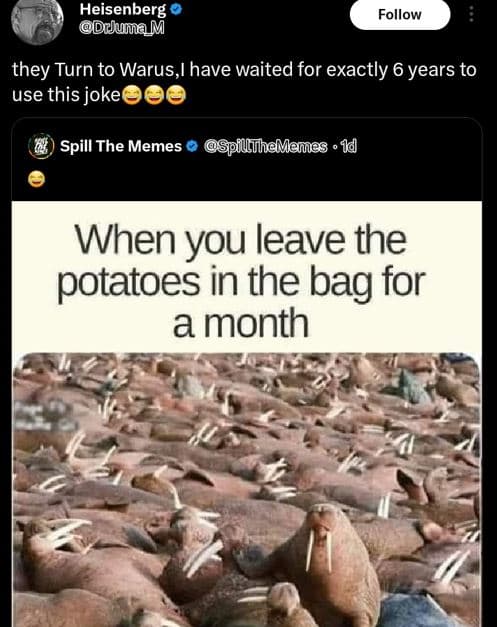 Heisenberg deuna m follow they turn to warus have waited for exactly 6 years to